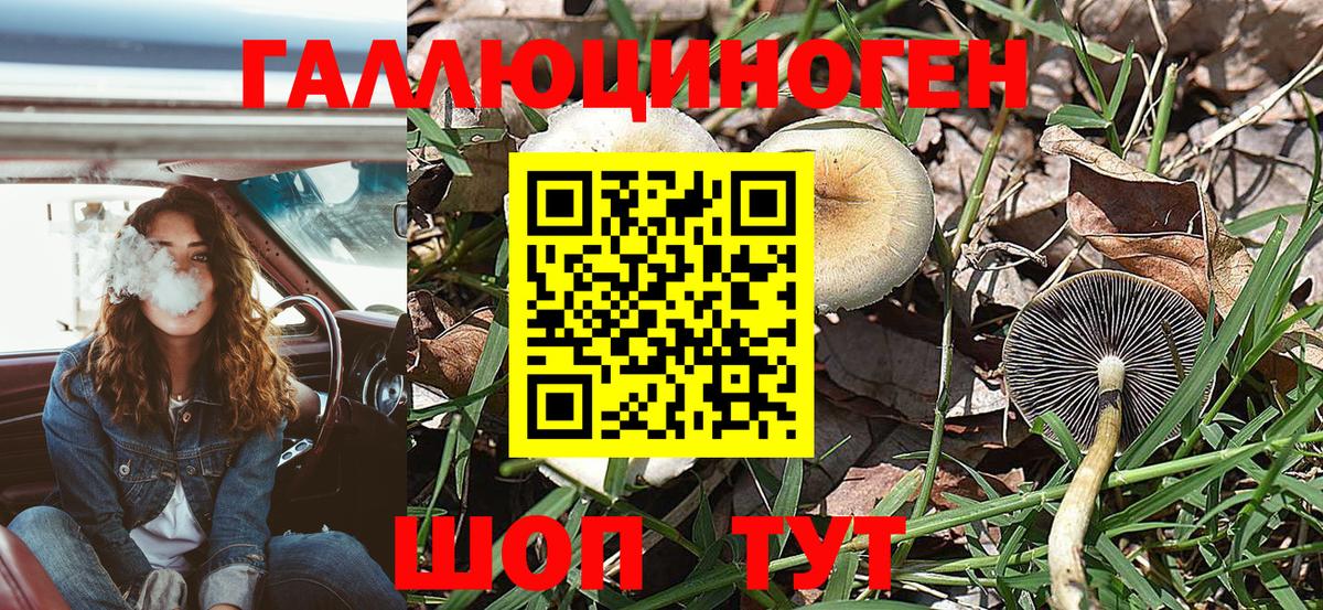 Сафоново  Псилоцибиновые грибы прущие грибы  купить наркотики цена  Вход с VPN 